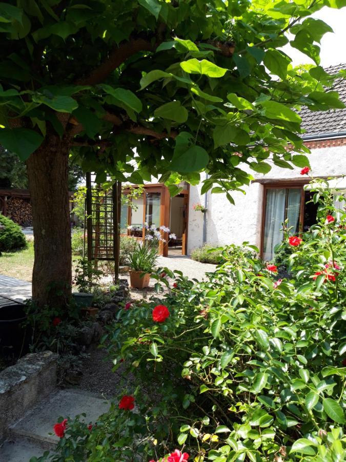 L'Orme Seul, Maison D'Hotes Vineuil  Екстериор снимка