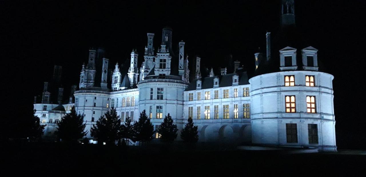 L'Orme Seul, Maison D'Hotes Vineuil  Екстериор снимка