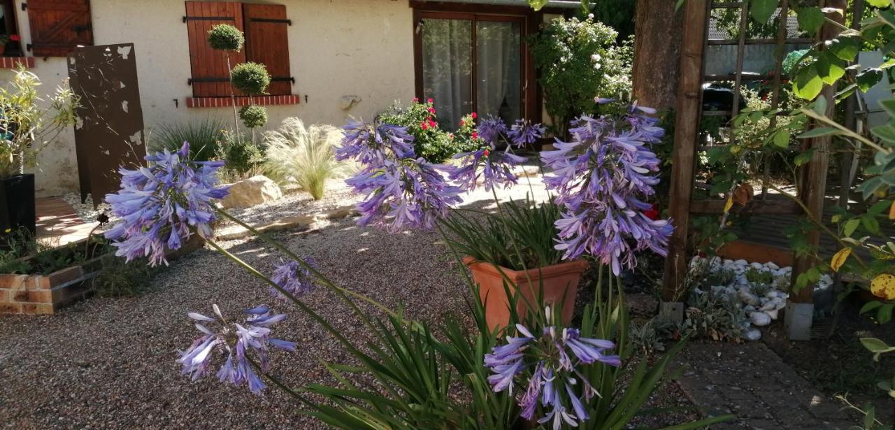 L'Orme Seul, Maison D'Hotes Vineuil  Екстериор снимка