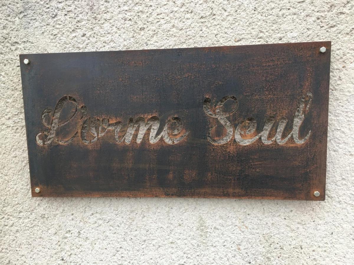 L'Orme Seul, Maison D'Hotes Vineuil  Екстериор снимка