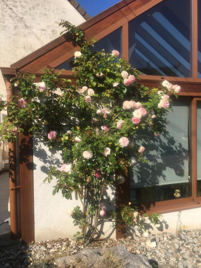 L'Orme Seul, Maison D'Hotes Vineuil  Екстериор снимка